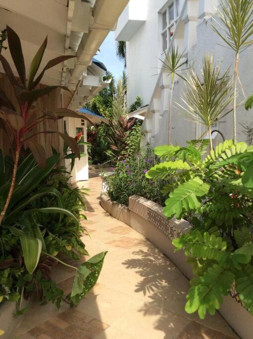 Lush Tropical Apartment Located In A 4-Star Resort Runaway Bay Dış mekan fotoğraf